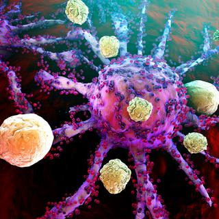 Des cellules du système immunitaire attaquant des cellules cancéreuses. [Depositphotos - Spectral]