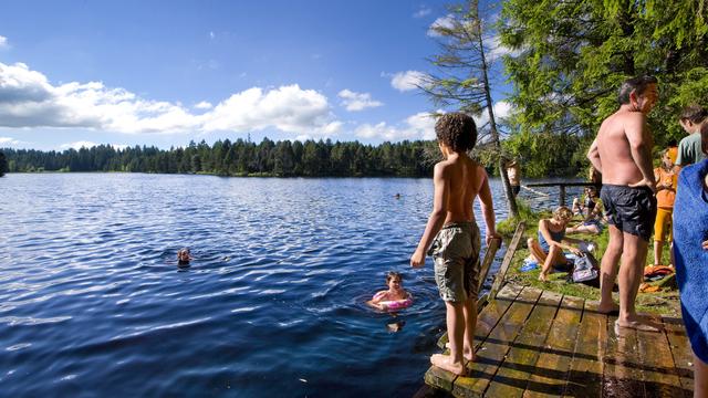 Crédit de 5 millions pour la revitalisation de la tourbière de l'étang de la Gruère (JU). [Keystone - Martin Ruetschi]