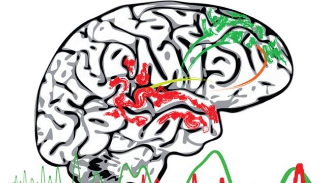 Des déficits de la maturation de la réponse gamma à la stimulation auditive au cours de l'enfance et de l'adolescence sont prédictifs des risques de développer des troubles psychotiques. [UNIGE - Vincent Rochas]