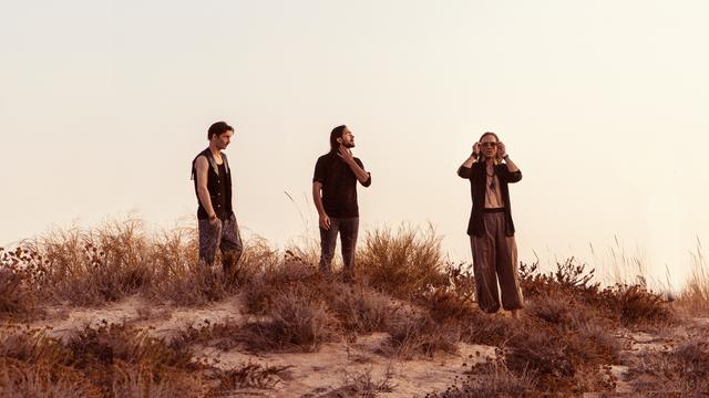 Le groupe fribourgeois Dirty Sound Magnet. [DR - Michael Maillard]