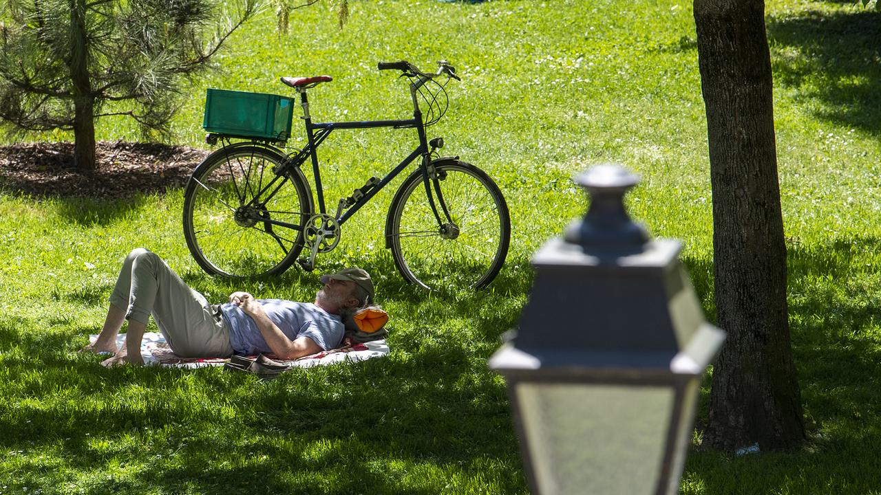 Une personne fait une sieste à l'ombre d'un arbre, ce dimanche 30 mai 2021, dans un parc à Genève. [KEYSTONE - Martial Trezzini]