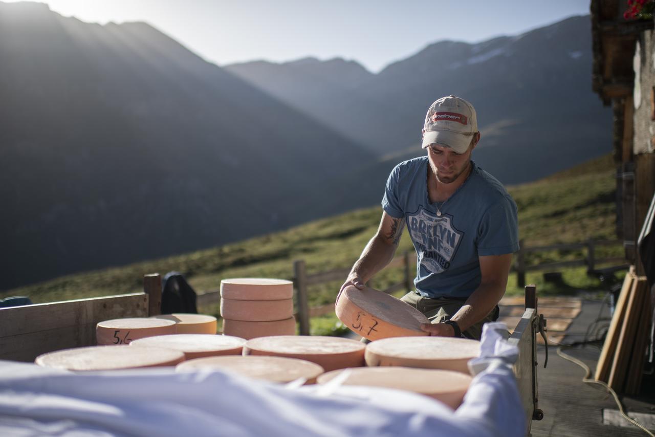 Le responsable d'un alpage charge des fromages sur une remorque, sur l'alpage Selva à Vals (GR). [Keystone - Gian Ehrenzeller]