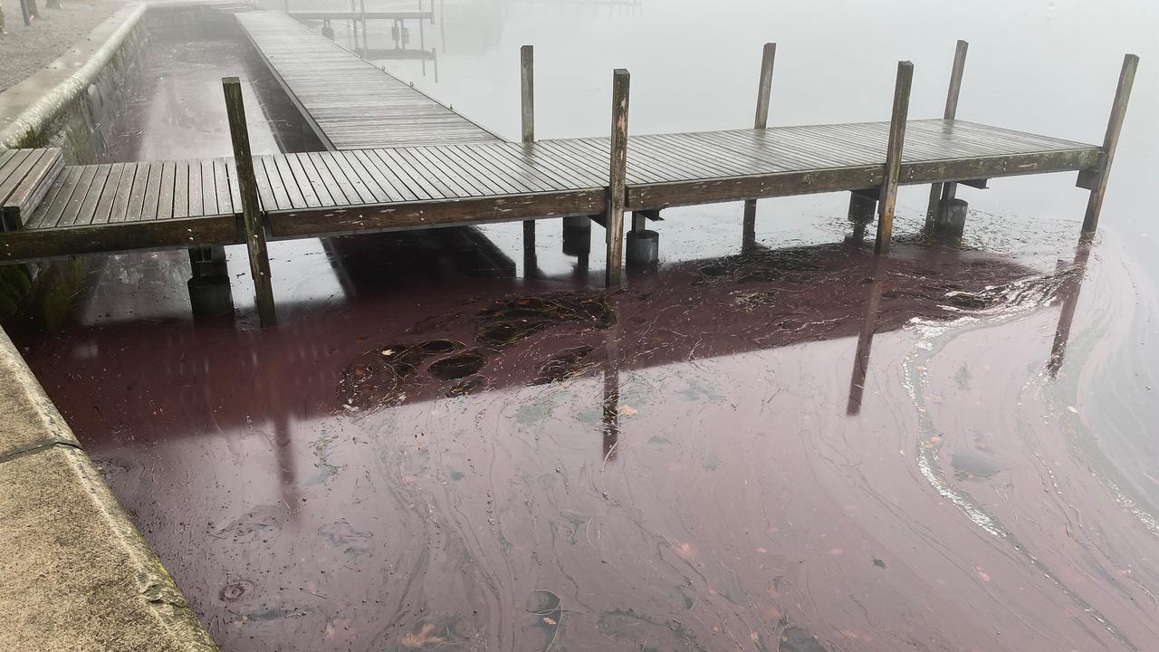 Le lac de Zoug arbore actuellement par endroits une couleur lie de vin. [ZugerPolizei/Twitter]