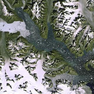 Image satellite du glacier Kangerdlugssuaq, au Groenland, inclut dans le projet Vanishing Glaciers.
ESA
EPFL [EPFL - ESA]