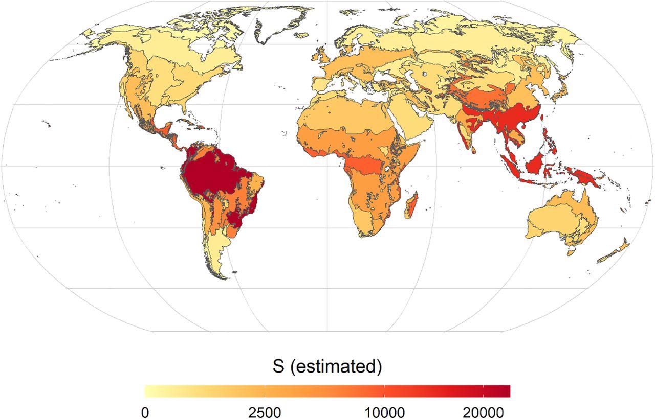 Le nombre d'espèces d'arbres estimé dans les biomes terrestres de chaque continent sous la forme d'un gradient de couleur allant d'une faible richesse (jaune) à une forte richesse (rouge). [PNAS - Roberto Cazzolla Gatti et al.]