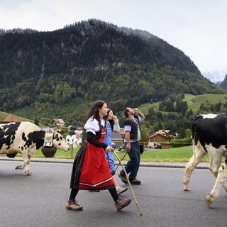 Des armaillis marchent avec un troupeau de vaches lors de la 41e édition de la Désalpe de Charmey, le samedi 26 septembre 2020 à Charmey dans le canton de Fribourg. [KEYSTONE - Laurent Gillieron]