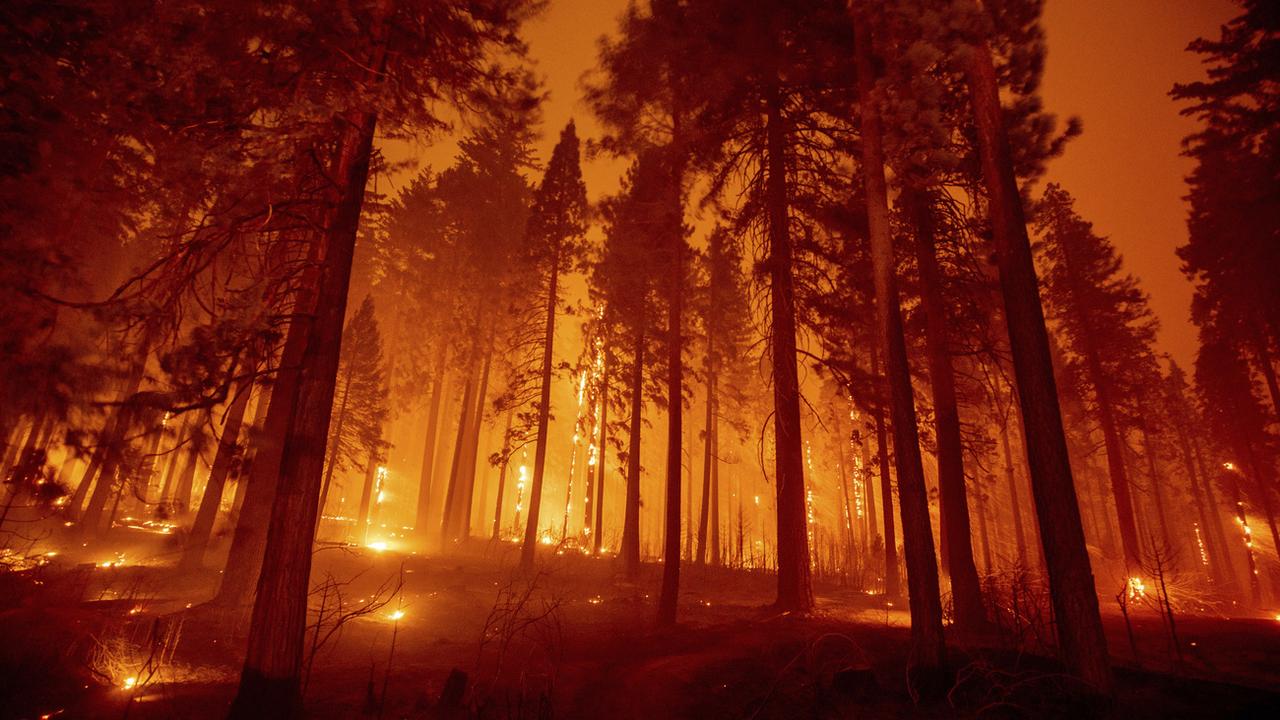 Des écosystèmes forestiers peuvent s'effondrer quand ils sont soumis à plusieurs menaces, par exemple les incendies, comme sur cette photo prise en Californie. [Ethan Swope]