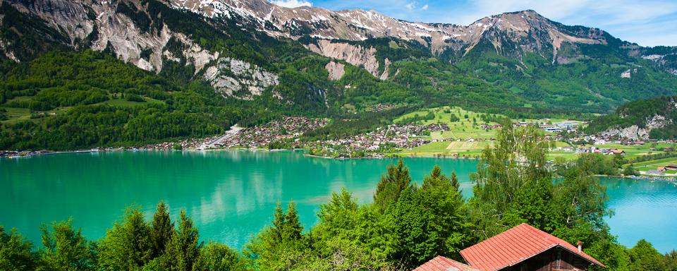 Panorama du lac Brienz. [Depositphotos - ©peterwey]