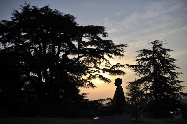 Vue d’arbres patrimoniaux du jardin de l’Ariana. [AFP - Fabrice Coffrini]