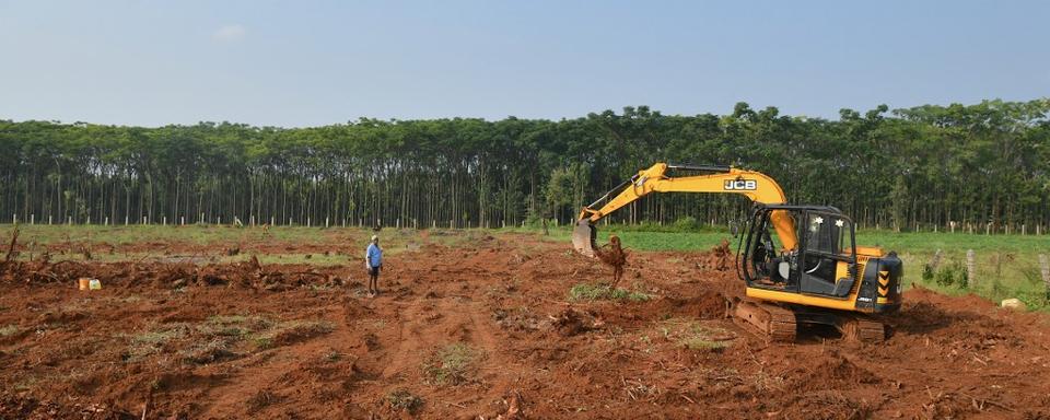 Une pelleteuse enlève les racines d'un bosquet d'eucalyptus abattu pour faire place à une nouvelle culture dans la banlieue de Bangalore, en Inde. [AFP - Manjunath Kiran]