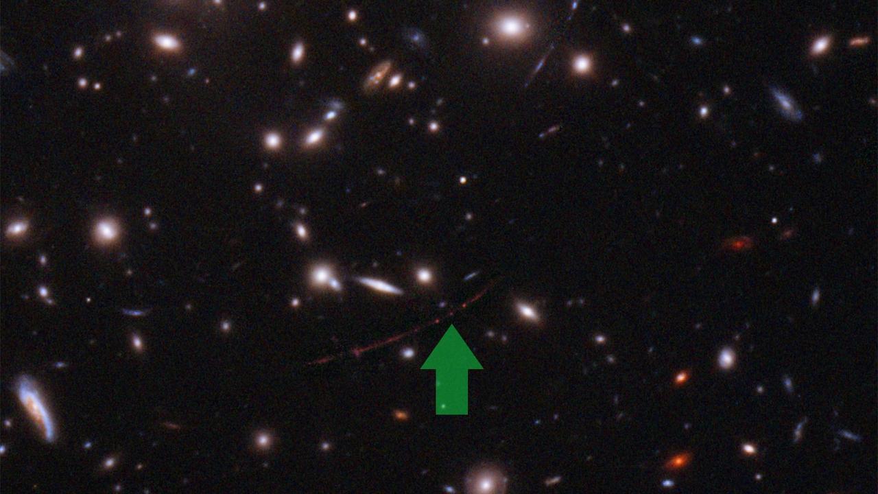 L'étoile Earendel (au bout de la flèche) est positionnée le long d'une ondulation de l'espace-temps qui lui confère un grossissement extrême, lui permettant d'émerger de sa galaxie hôte, qui apparaît comme un arc rouge dans le ciel. [NASA/ESA - Alyssa Pagan]