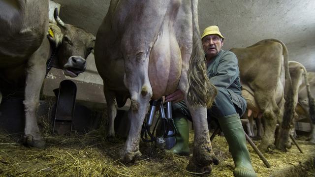 Quatre centime de plus par litre pour les producteurs de lait bio. [Ti-Press - Benedetto Galli]