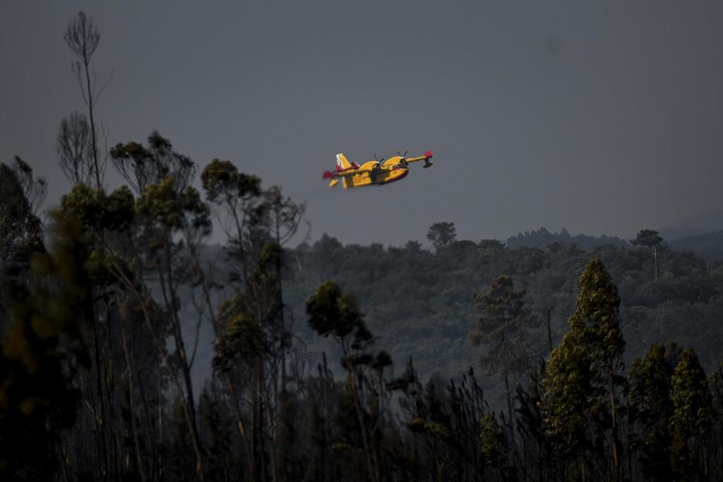 Un Canadair en opération survole la forêt de Freixianda, au centre du Portugal. [AFP - PATRICIA DE MELO MOREIRA]