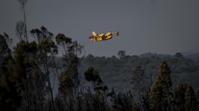 Un Canadair en opération survole la forêt de Freixianda, au centre du Portugal. [AFP - PATRICIA DE MELO MOREIRA]