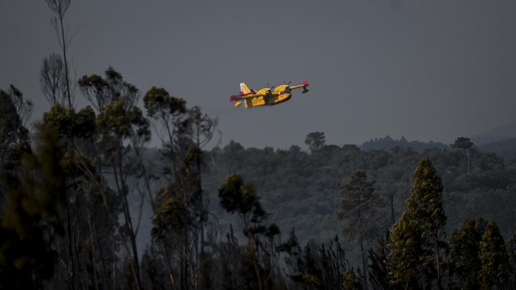 Un Canadair en opération survole la forêt de Freixianda, au centre du Portugal. [AFP - PATRICIA DE MELO MOREIRA]
