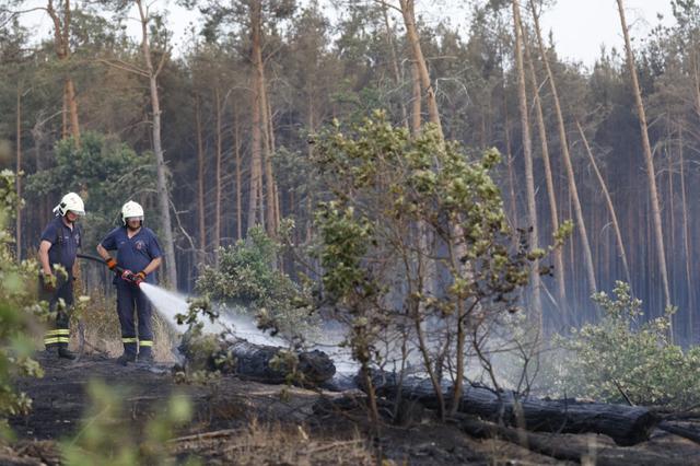 Les pompiers combattent toujours l'incendie du 17 juin dans le Brandebourg. [AFP - Odd Andersen]