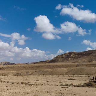 Le désert du Néguev en Israël. [Reuters - Amir Cohen]