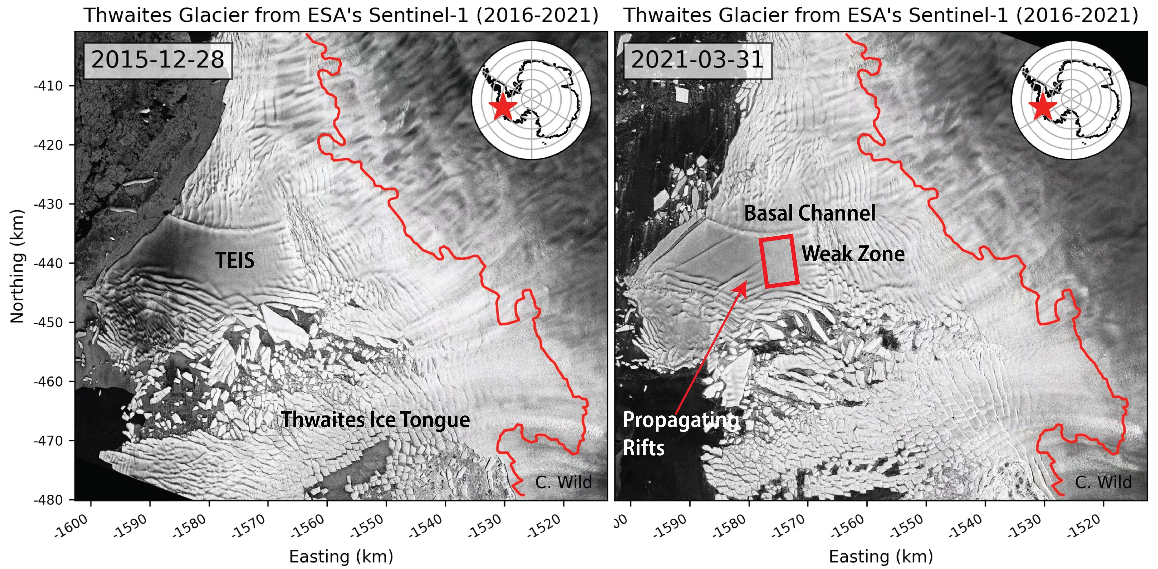 La plateforme de glace orientale de Thwaites (TEIS), sa zone fragile (weak zone), et sa langue de glace (Ice Tongue), les 28 décembre 2015 (gauche) et 31 mars 2021. La TEIS soutient un tiers du glacier de Thwaites. Son enlèvement pourrait augmenter la contribution du glacier Thwaites à l'élévation du niveau de la mer jusqu'à 25%. [Sentinel-1/ESA - Erin C. Pettit, Oregon State University]