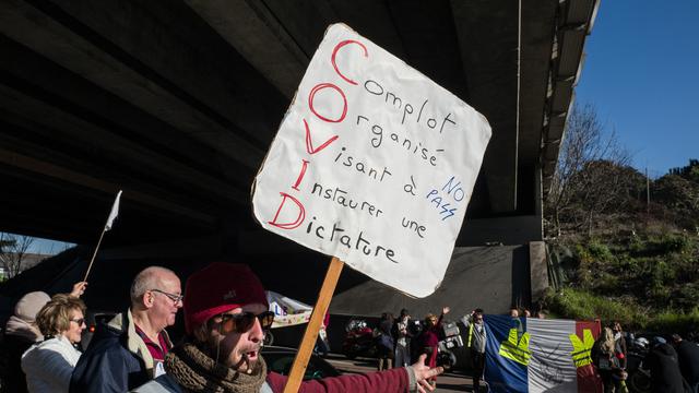 Manifestation anti-vax en France. [AFP - Frederic Scheiber / Hans Lucas]