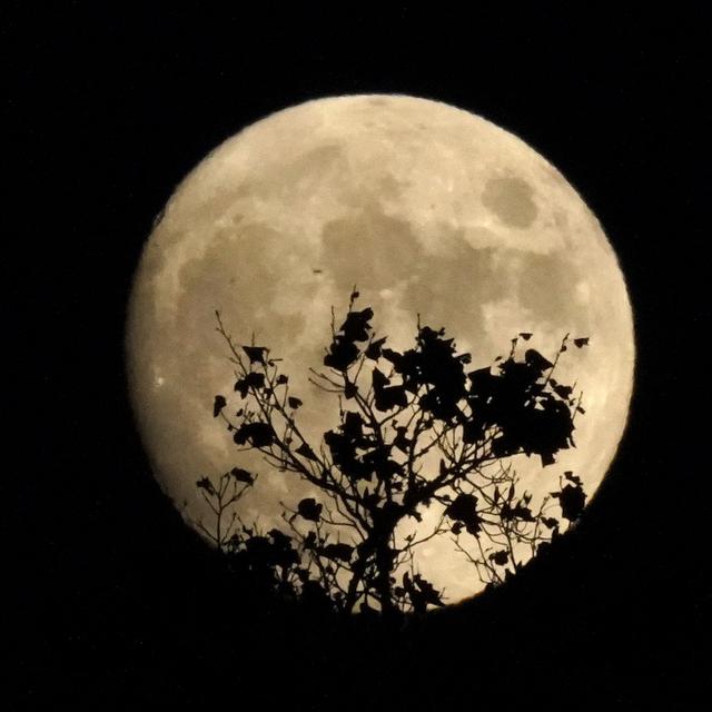 Une photo de la lune. [Keystone - Gerry Broome / AP Photo]