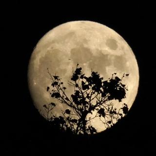 Une photo de la lune. [Keystone - Gerry Broome / AP Photo]
