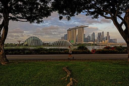 Les parcs hi-tech de Singapour [AFP - Suhaimi Abdullah]