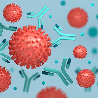 Plus de 98 pourcents des Vaudoises et des Vaudois ont des anticorps contre le coronavirus.
DariaRen
Depositphotos [DariaRen]
