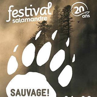 L'affiche de la 20ème édition du Festival La Salamandre au théâtre de Beausobre à Morges du 21 au 23 octobre 2022. [dr - https://www.festival-salamandre.org/]