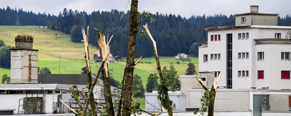 Des arbres cassés pendant la tempête qui s'est abattue sur La Chaux-de-Fonds lundi. [Keystone - Jean-Christophe Bott]