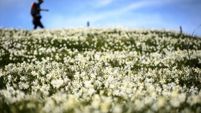 Le plan d'affectation "En Praz Grisoud" a été refusé massivement dimanche à Blonay-Saint-Légier. [Keystone]