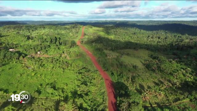 Les pays riverains de l'Amazonie au chevet de la plus grande forêt tropicale du monde