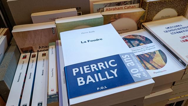 "La foudre" de Pierric Bailly figure parmi les livres favoris des spécialistes littérature de la RTS en cette l'année 2023. [AFP - Riccardo Milani]