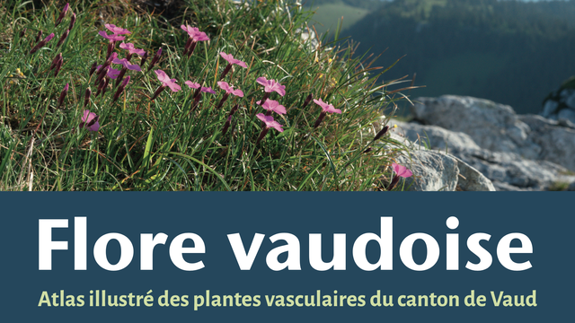 "Flore vaudoise: atlas illustré des plantes vasculaires du canton de Vaud" du Cercle vaudois de botanique (2023). [Cercle vaudois de botanique]