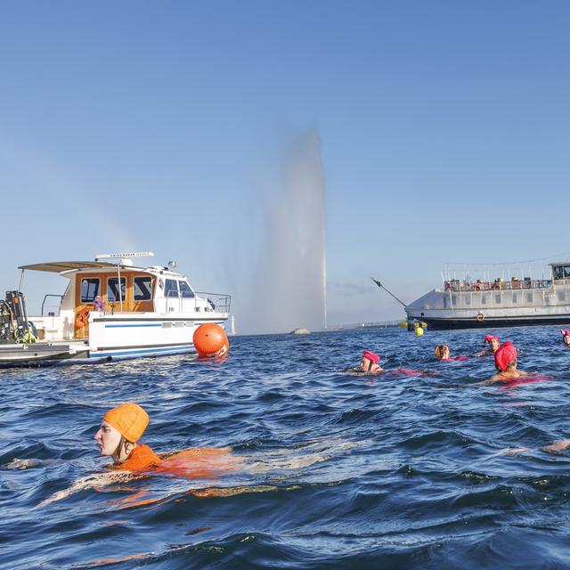 Près de 4300 personnes se sont jetées à l'eau pour la Coupe de Noël à Genève. [Keystone - Salvatore Di Nolfi]