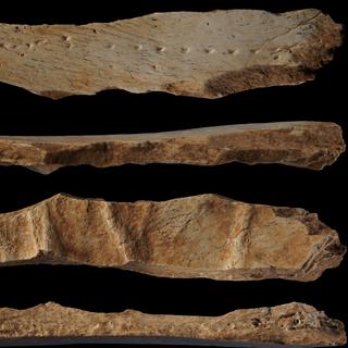 La planche en os décrite dans l'étude menée en Catalogne, publiée dans la revue Science Advances. [©Science Advances]