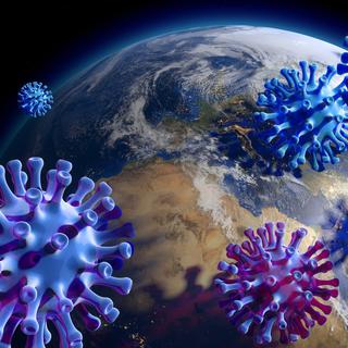 De nouveaux virus issus du monde animal apparaissent régulièrement sur la planète. [Depositphotos - 360ber]