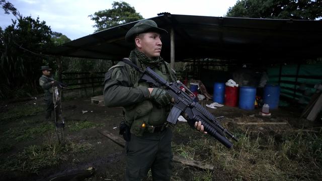 Nouveau record de cultures de coca et de production de cocaïne en Colombie. [Keystone - Fernando Vergara]