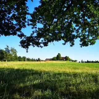 Une vue de l'Auberge du Chalet des Enfants, entrée citadine au Parc naturel du Jorat (VD). [Auberge du Chalet des Enfants - Magaly Koenig]