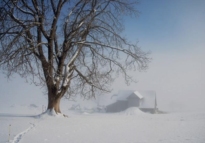 Paysage enneigé sur les voeux pour 2024 de Guy Parmelin.