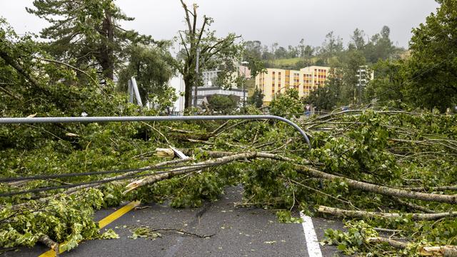 Des arbres tombés pendant la tempête de juillet 2023 à la Chaux-de-fonds. [Keystone - Valentin Flauraud]