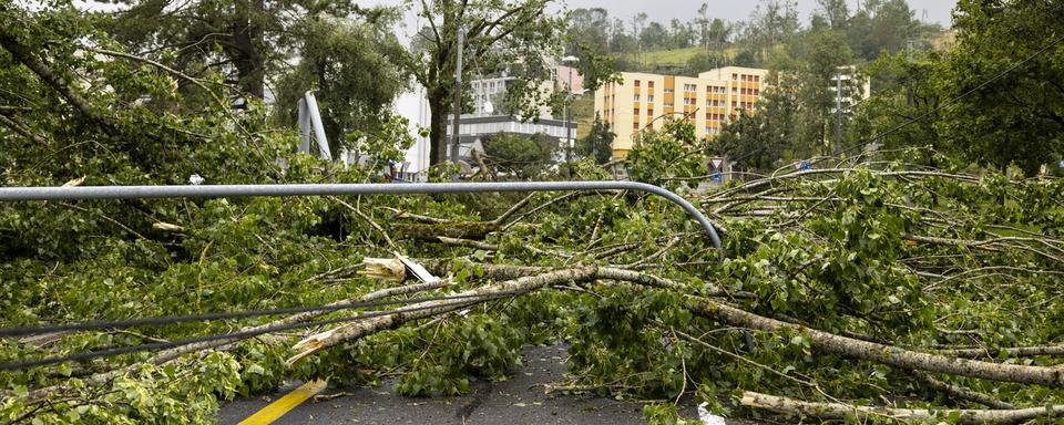 Des arbres tombés pendant la tempête de juillet 2023 à la Chaux-de-fonds. [Keystone - Valentin Flauraud]