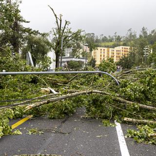 Des arbres tombés pendant la tempête de juillet 2023 à la Chaux-de-fonds. [Keystone - Valentin Flauraud]