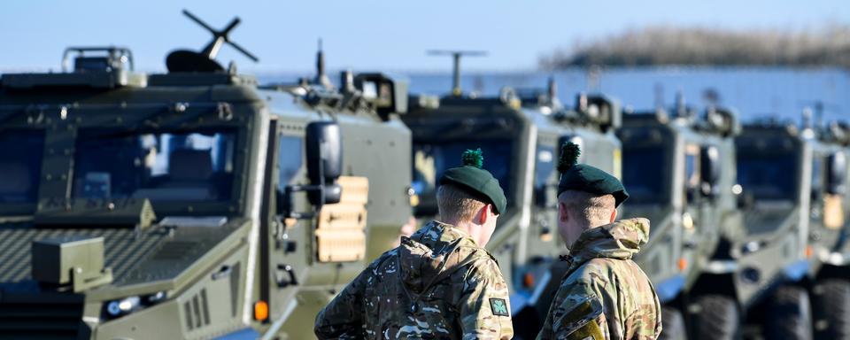 Image d'illustration de soldats irlandais lors d'un exercice militaire de l'Otan en 2018. [REUTERS - Piroschka van de Wouw]