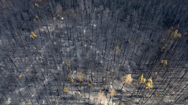 Pour réduire le risque d'incendies, la province canadienne de l'Alberta ferme ses parcs. [AFP - MEGAN ALBU]