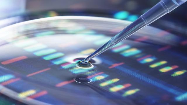 La Commission européenne ouvre la voie à de nouvelles techniques génomiques. [SCIENCE PHOTO LIBRARY VIA AFP - TEK IMAGE]