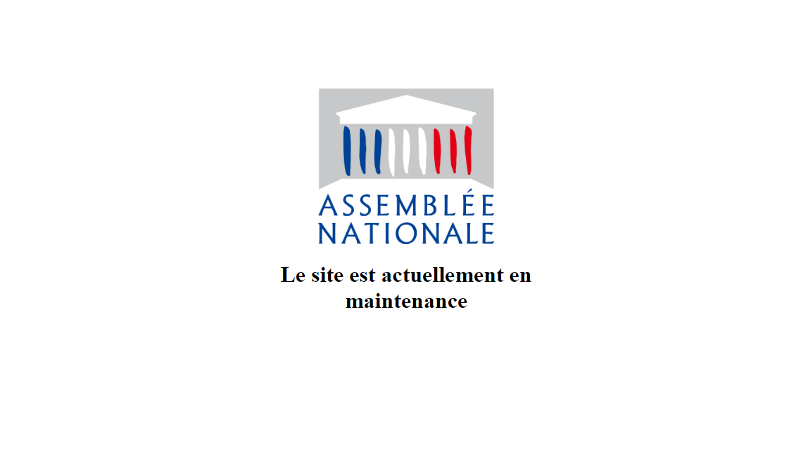 Voici ce qu'affichait le navigateur web des internautes voulant consulter le site de l'Assemblée nationale française, le 27 mars 2023 dans l'après-midi. [RTS - Capture d'écran]