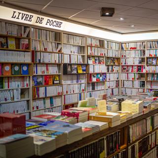 Le groupe éditorial Madrigall est dans le viseur de la Comco pour le prix des livres français en Suisse [AFP - Idhir Baha]
