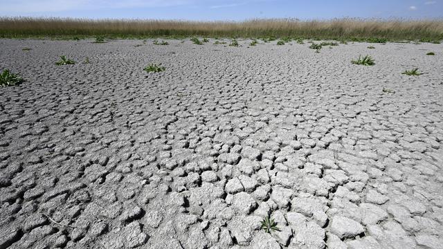 Selon une étude, le changement climatique serait responsable de la perte de milliers de milliards de dollars chaque année pour les économies mondiales. [Keystone - Hans Klaus Techt - APA]