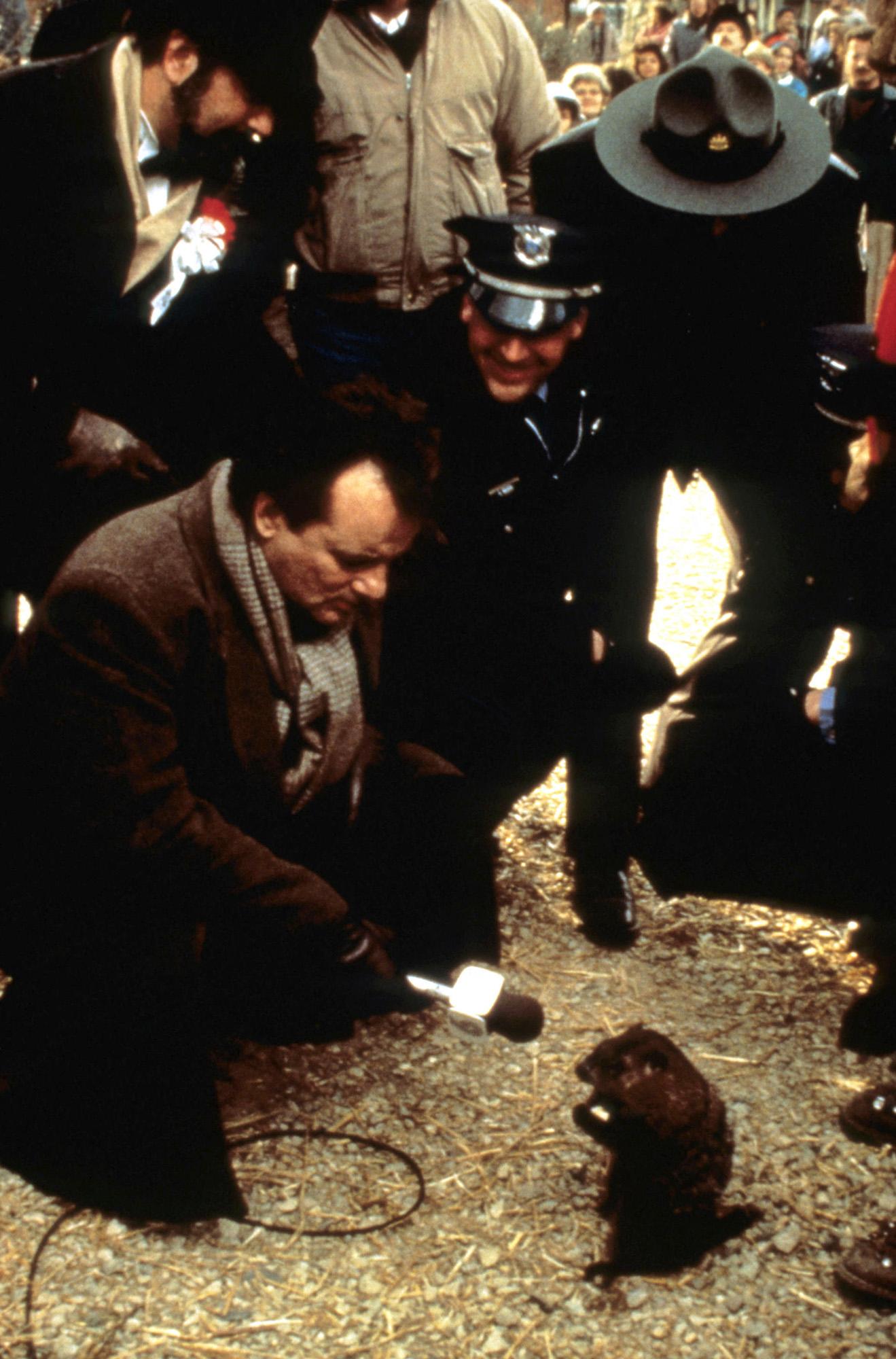Bill Murray et la marmotte Scooter dans "Un jour sans fin". [AFP - COLUMBIA PICTURES CORPORATION]