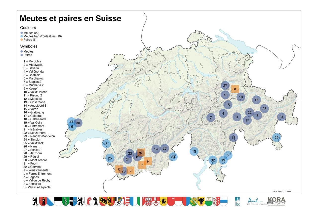 La carte de la répartition du loup en Suisse, selon la Fondation KORA (état au 7 novembre 2023). [Fondation KORA]